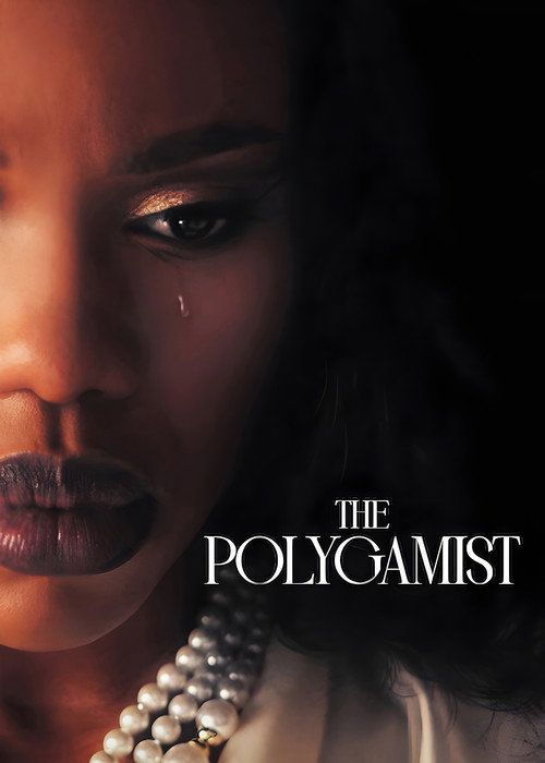 Poster della serie The Polygamist