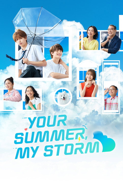 Poster della serie Your Summer, My Storm