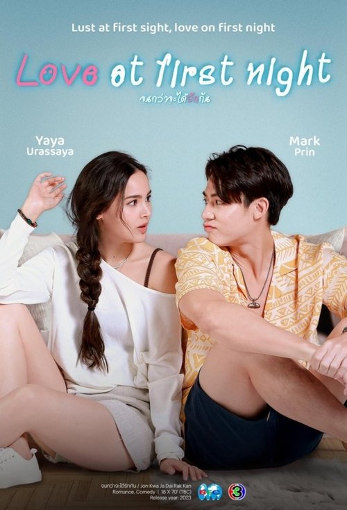 Poster della serie Love at First Night