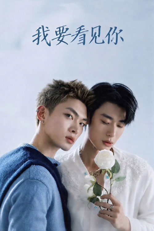 Poster della serie Till I See You