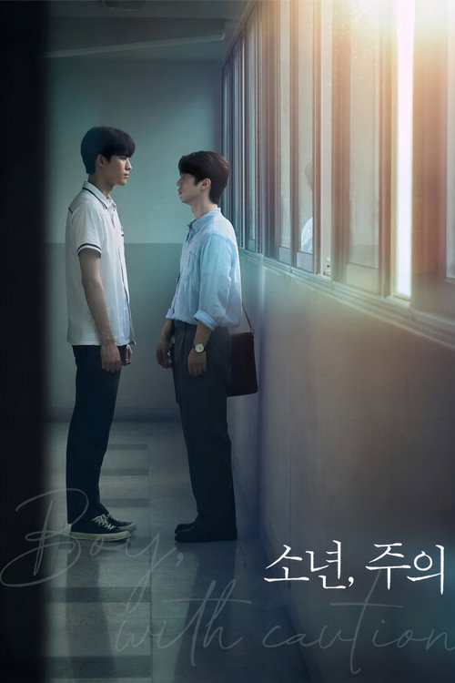 Poster della serie Boy, with caution