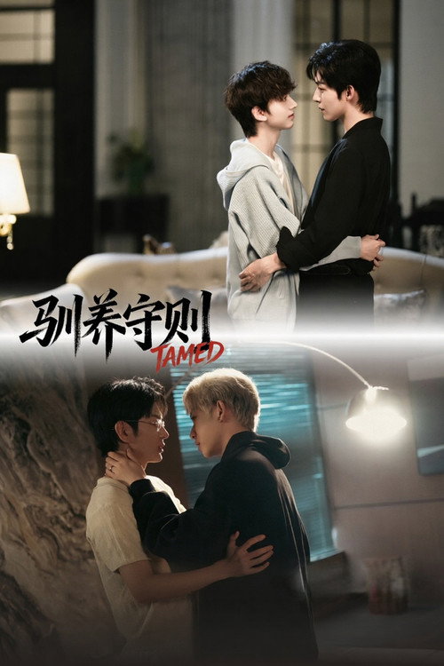 Poster della serie TAMED