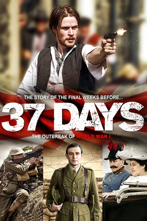 Poster della serie 37 Days