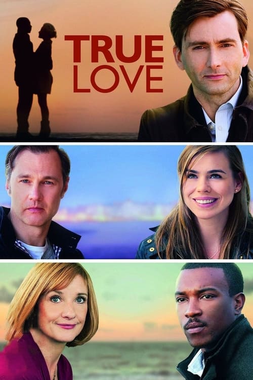 Poster della serie True Love