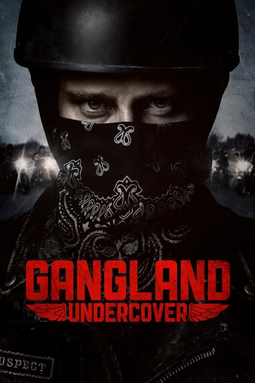 Poster della serie Gangland Undercover
