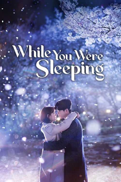 Poster della serie While You Were Sleeping