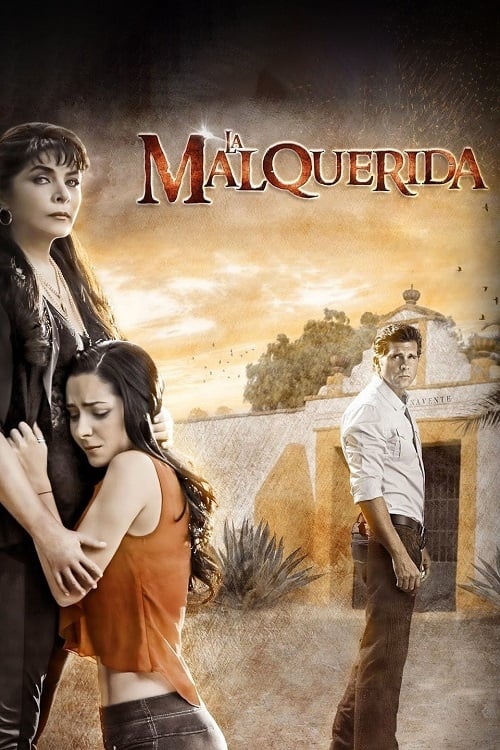 Poster della serie La Malquerida
