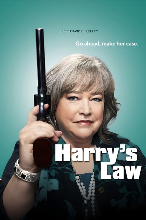 Poster della serie Harry's Law