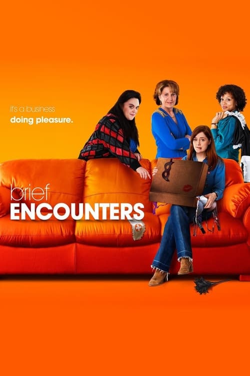 Poster della serie Brief Encounters