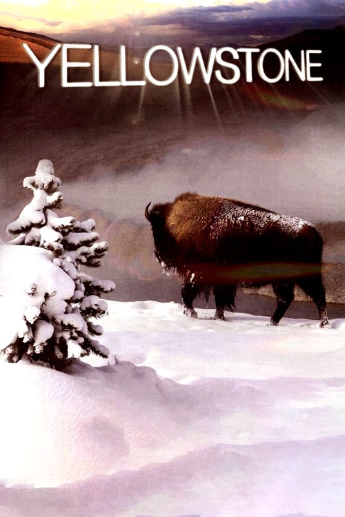 Poster della serie Yellowstone