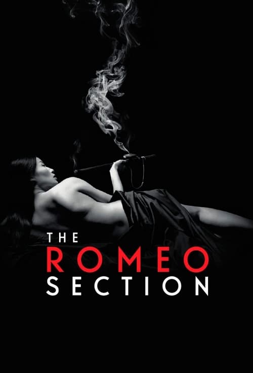 Poster della serie The Romeo Section