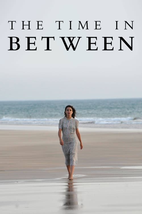 Poster della serie The Time in Between