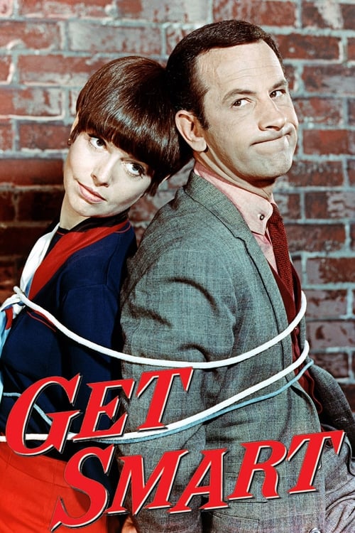 Poster della serie Get Smart