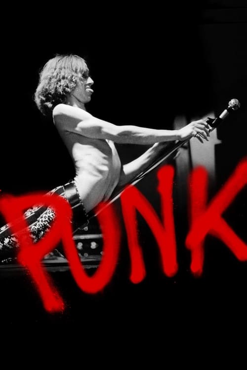 Poster della serie Punk