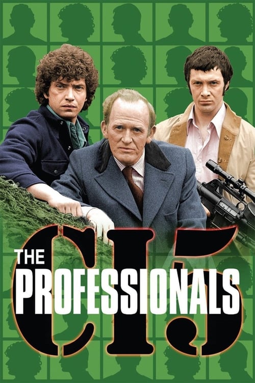 Poster della serie The Professionals