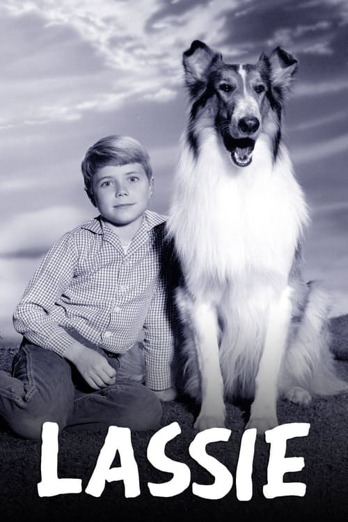 Poster della serie Lassie