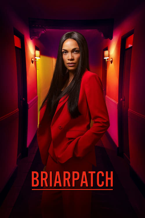 Poster della serie Briarpatch
