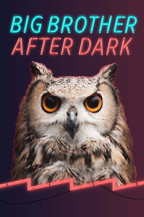 Poster della serie Big Brother: After Dark