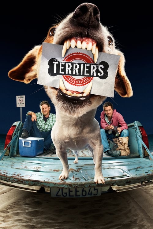 Poster della serie Terriers