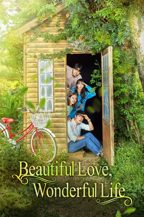 Poster della serie Beautiful Love, Wonderful Life