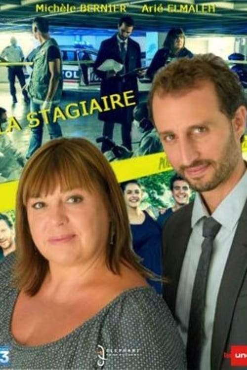 Poster della serie La Stagiaire