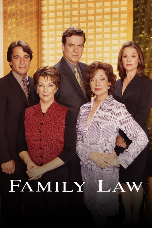 Poster della serie Family Law