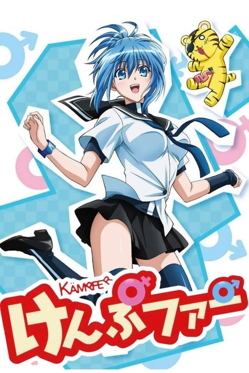 Poster della serie Kämpfer