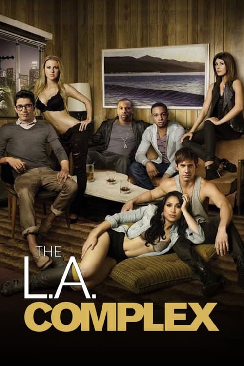 Poster della serie The L.A. Complex