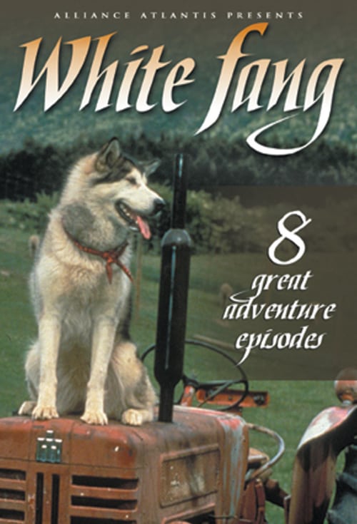 Poster della serie White Fang