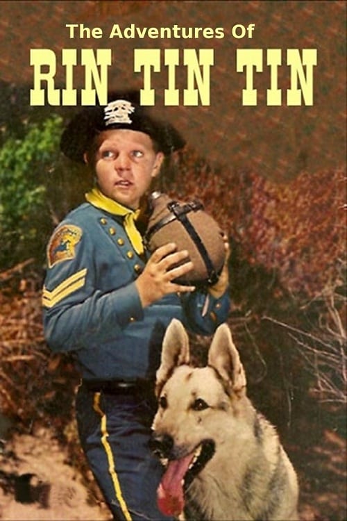 Poster della serie The Adventures of Rin Tin Tin