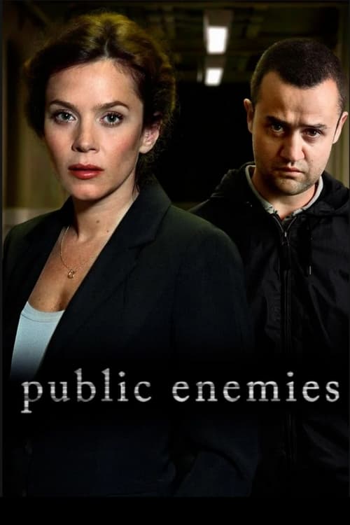 Poster della serie Public Enemies
