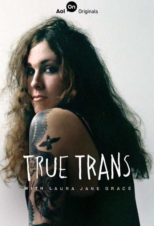 Poster della serie True Trans