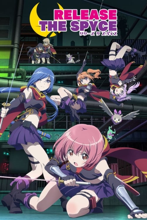 Poster della serie Release the Spyce