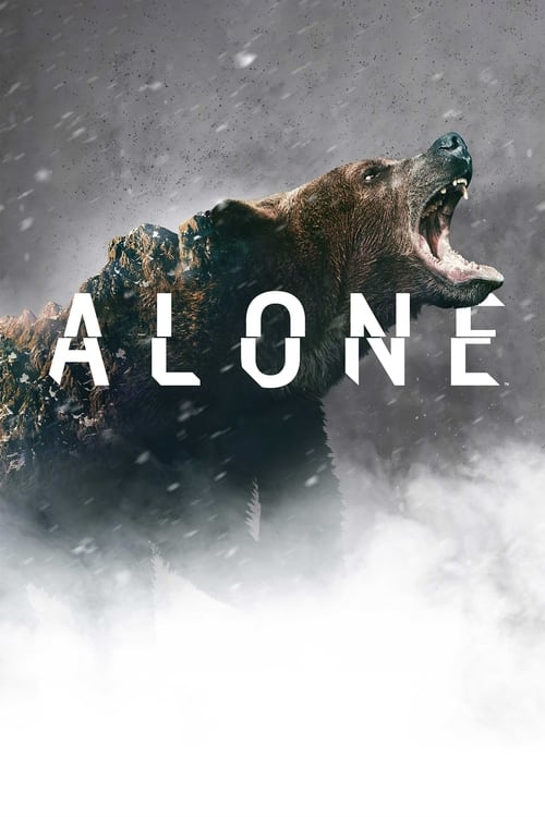 Poster della serie Alone