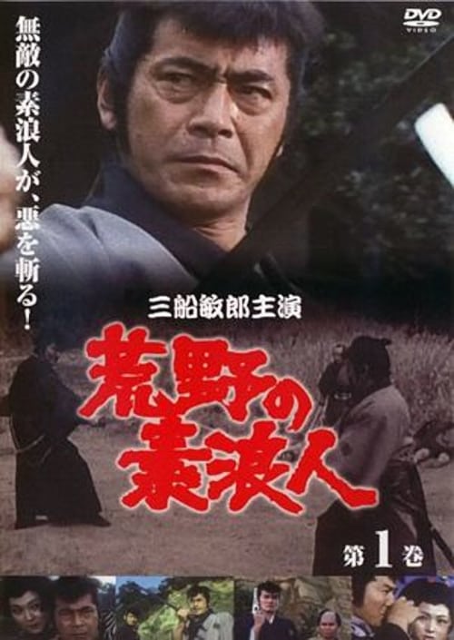 Poster della serie Ronin of the Wastelands