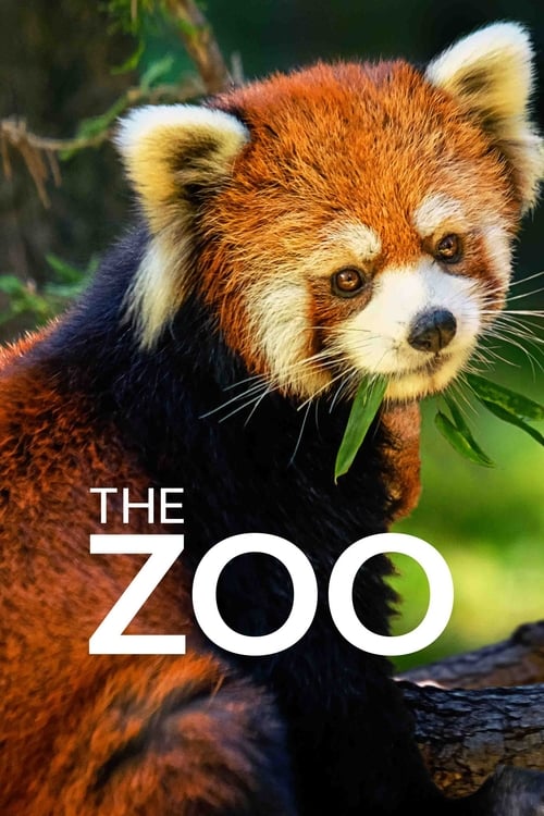 Poster della serie The Zoo