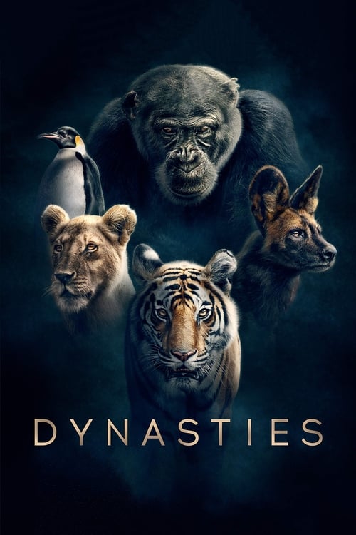 Poster della serie Dynasties