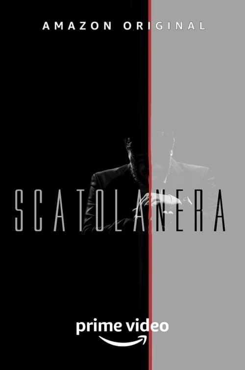 Poster della serie Nella scatola nera