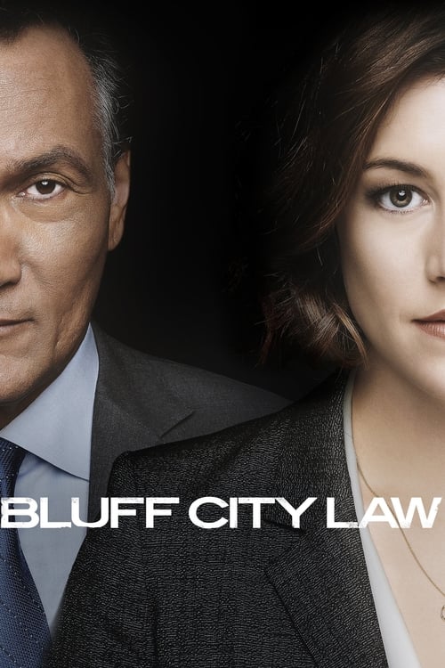 Poster della serie Bluff City Law
