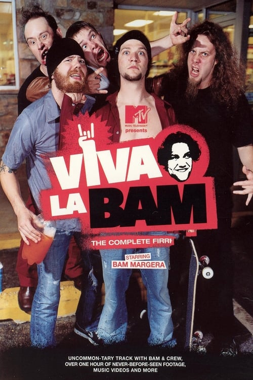 Poster della serie Viva La Bam