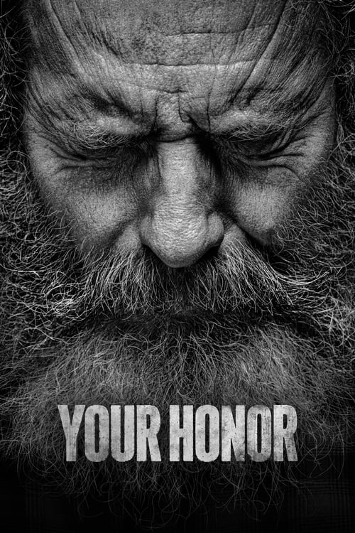 Poster della serie Your Honor