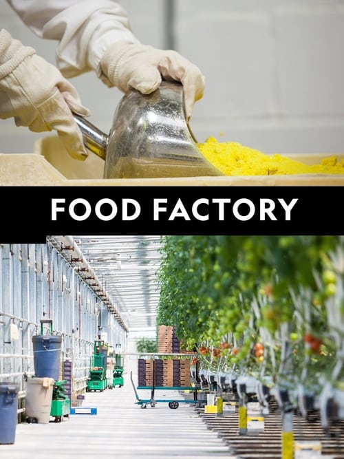 Poster della serie Food Factory