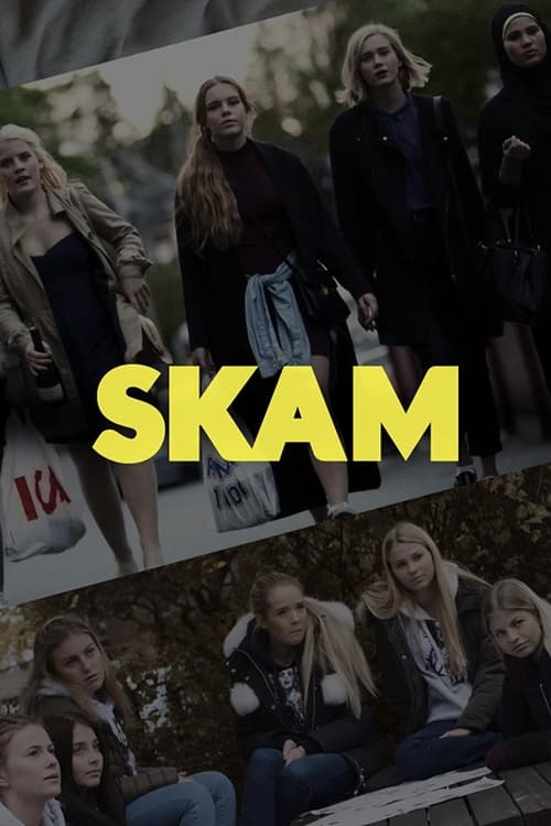 Poster della serie SKAM