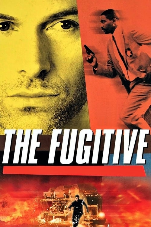 Poster della serie The Fugitive