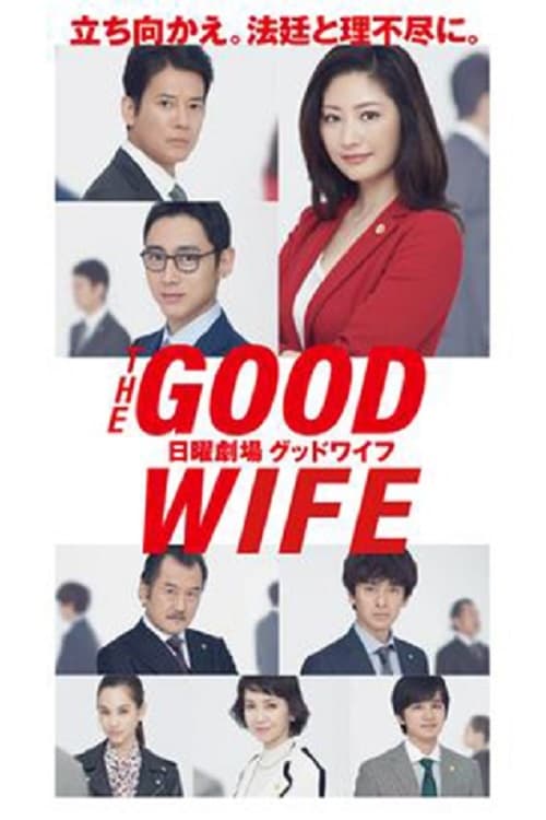 Poster della serie The Good Wife