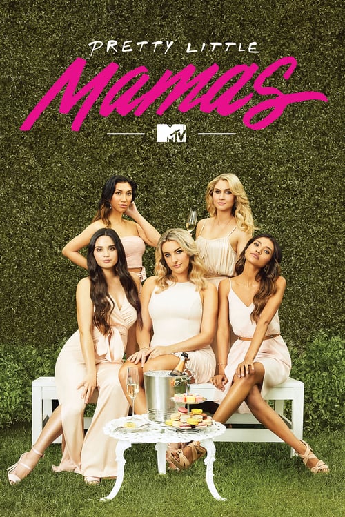 Poster della serie MTV's Pretty Little Mamas