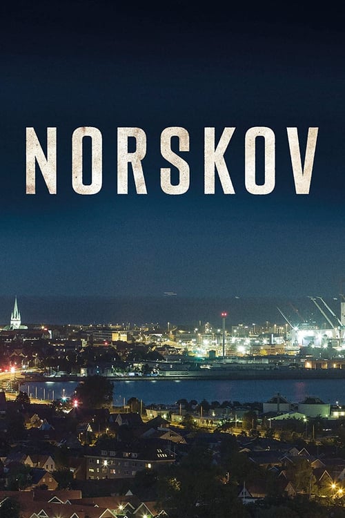 Poster della serie Norskov