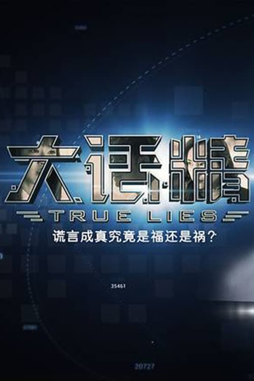 Poster della serie 大话精