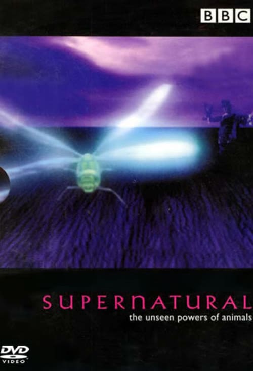 Poster della serie Supernatural: Unseen Power of Animals