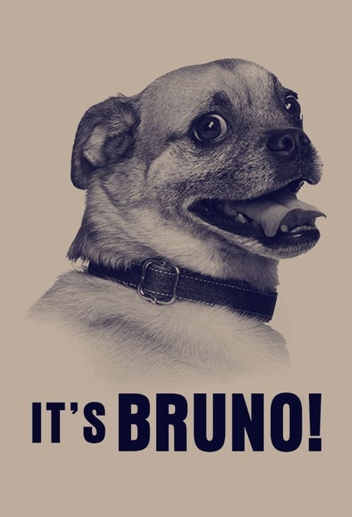 Poster della serie It's Bruno!